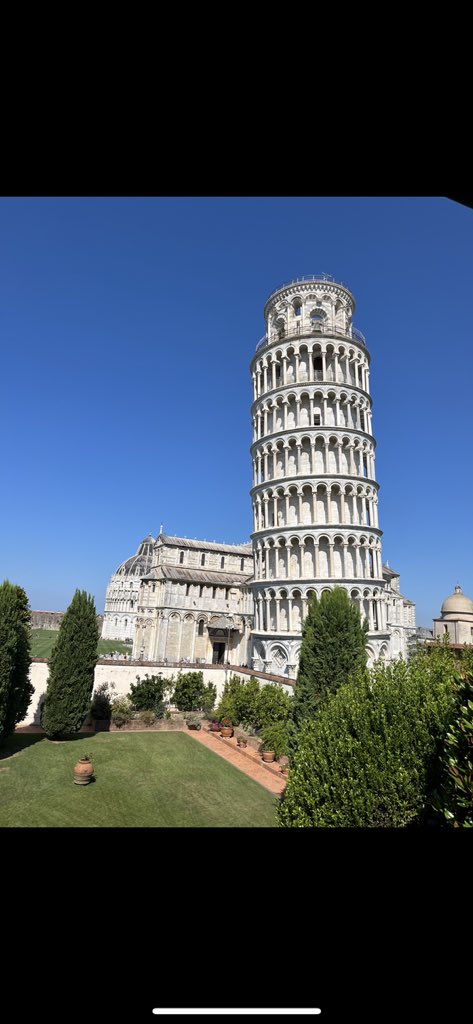 Ross Wilson tweet media