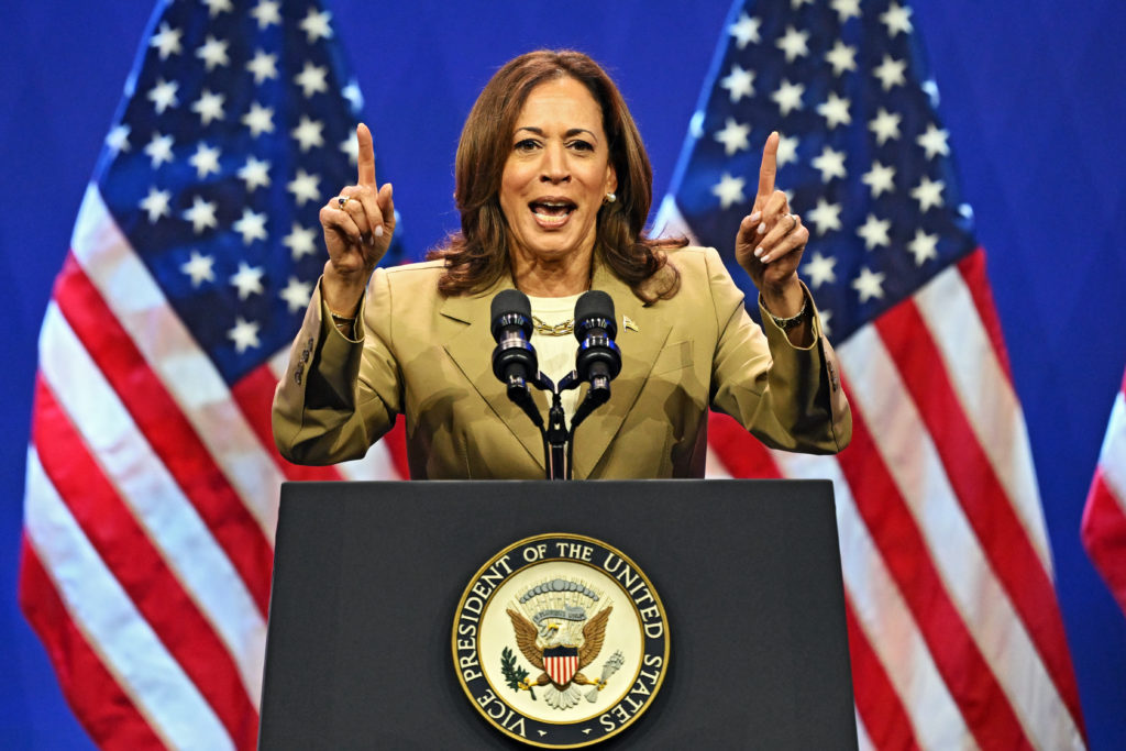 RadarHits's tweet image. 🇺🇸JUST IN - Kamala Harris announces:

 - $25,000 first homebuyer subsidy

- $6,000 Tax Credit per child for the first year of a baby’s life