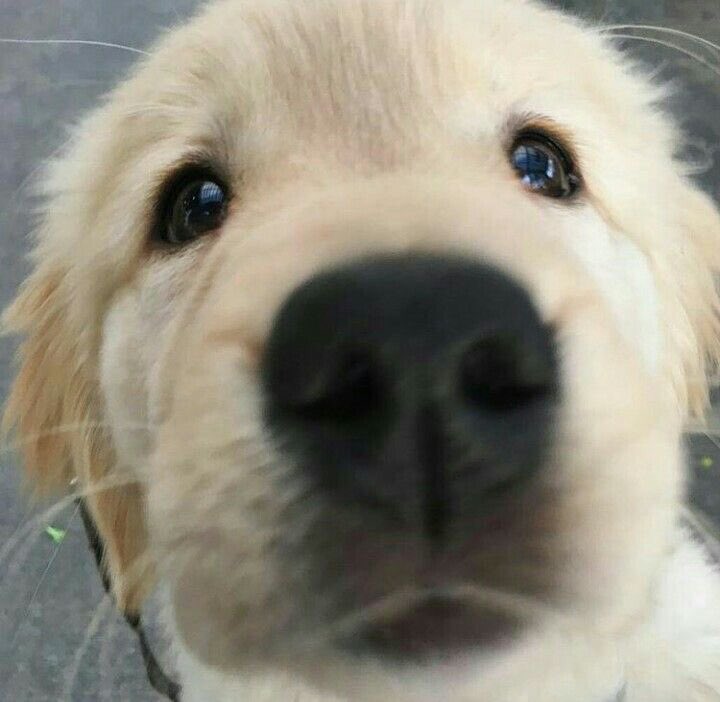 takemybear's tweet photo. เบบี๋น่ารักจัง อยากทะลุจอไปจุ้บเลยเนี่ย 🥺 https://t.co/EuN1Znwd8i