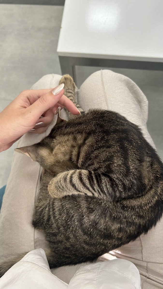 sutu cilekli seni surekli hayırlı cumalarr 💕