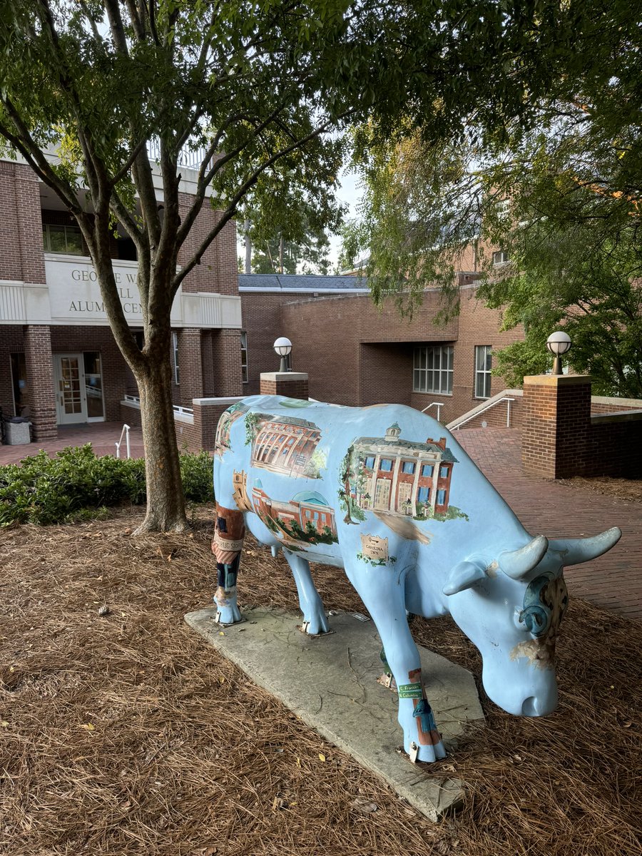 Hannah Siburt tweet media