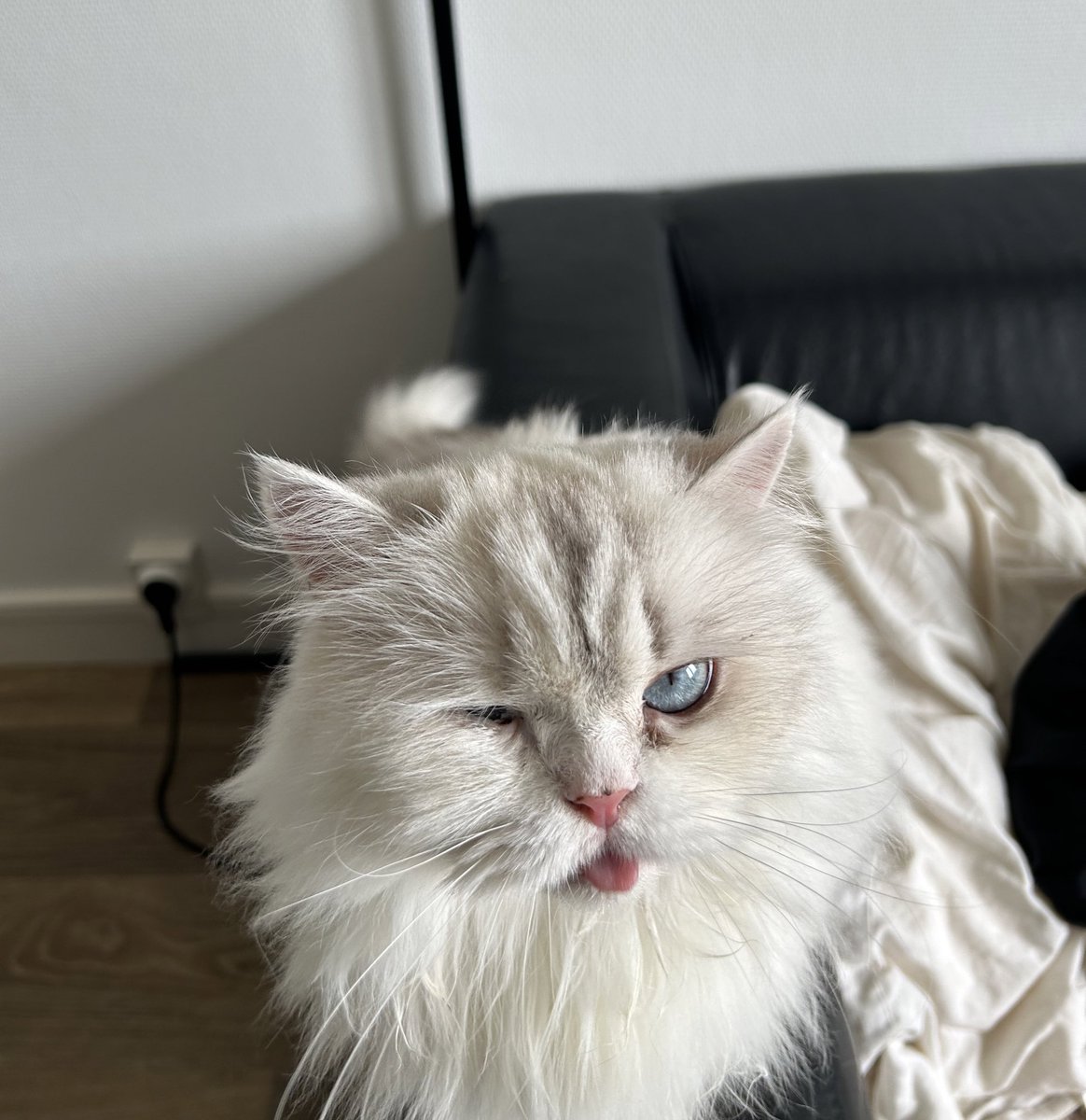 helew_'s tweet photo. hey ça date ici ;p https://t.co/4AcVMZAkgD