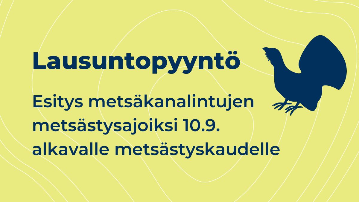 Maa- ja metsätalousministeriö esittää metsästysaikoja syksyn metsästyskaudelle. Metsäkanalintujen kannat vaihtelevat vuosittain merkittävästi, mikä otetaan huomioon metsästysajoissa. Lausuntoja esityksestä voi antaa 23.8. asti. #mestästys #metsäkana mmm.fi/-/metsakanalin…