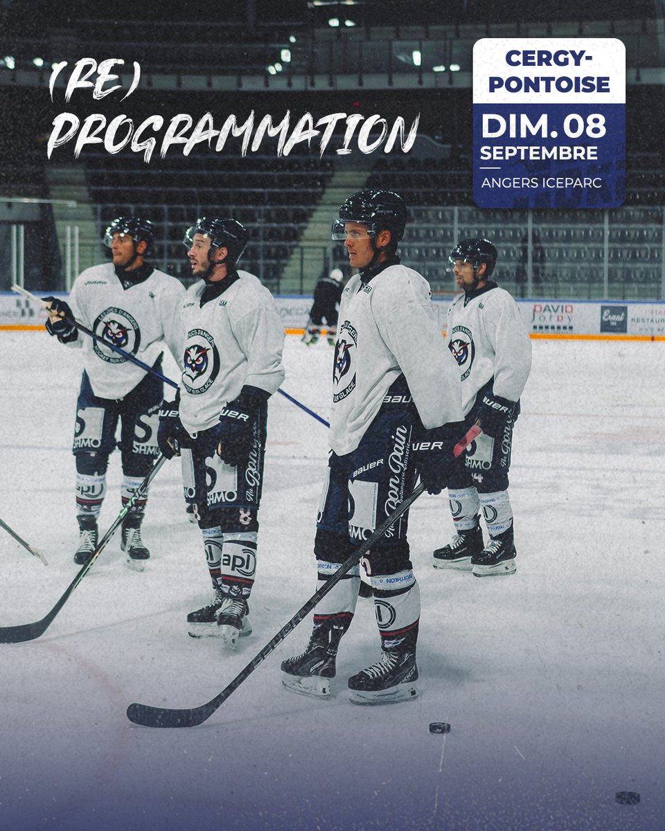 Les Ducs d'Angers tweet media