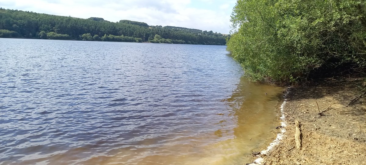 Chris Mather. tweet media