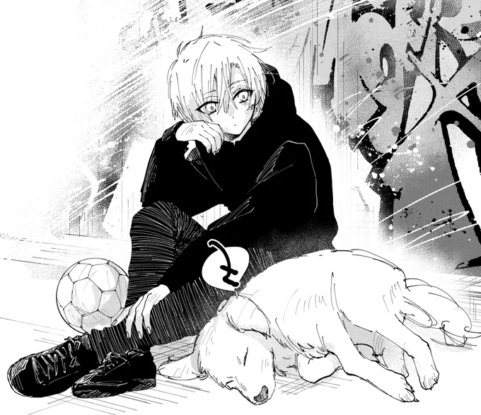 stray dogs 