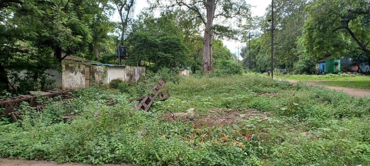 racefeedf1's tweet photo. Railway Colony Bhilai-3, Chhattisgarh, is in dire need of maintenance! High bushes are growing near quarters, and garbage is scattered everywhere. Responsible officials keep citing tender problems. @GMSECR @drm_raipur @DRMBilaspur @RailwaySeva @RailwayMinister Please take action! https://t.co/IzoFO5P4C3