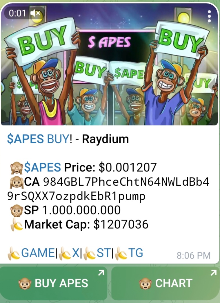 Vanessa Verdera (@verderavanessa) on Twitter photo 