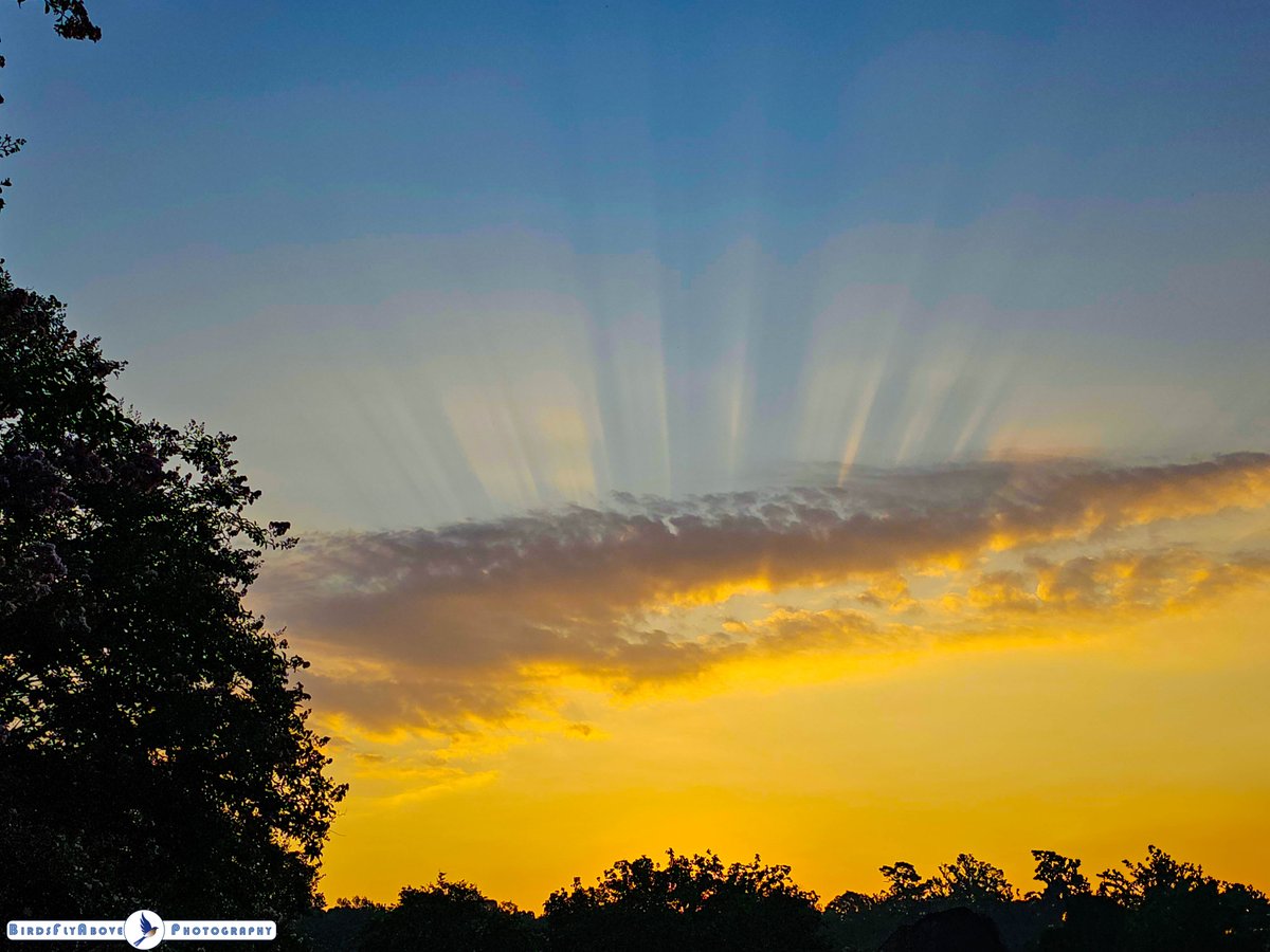 BirdsFlyAbove's tweet photo. Good morning, fellow photographers! ๐ธ Hope you capture amazing moments today! #PhotographyLife #SnapAway #Nature #Landscape #Landscapephotography https://t.co/lPo4oiXT2f