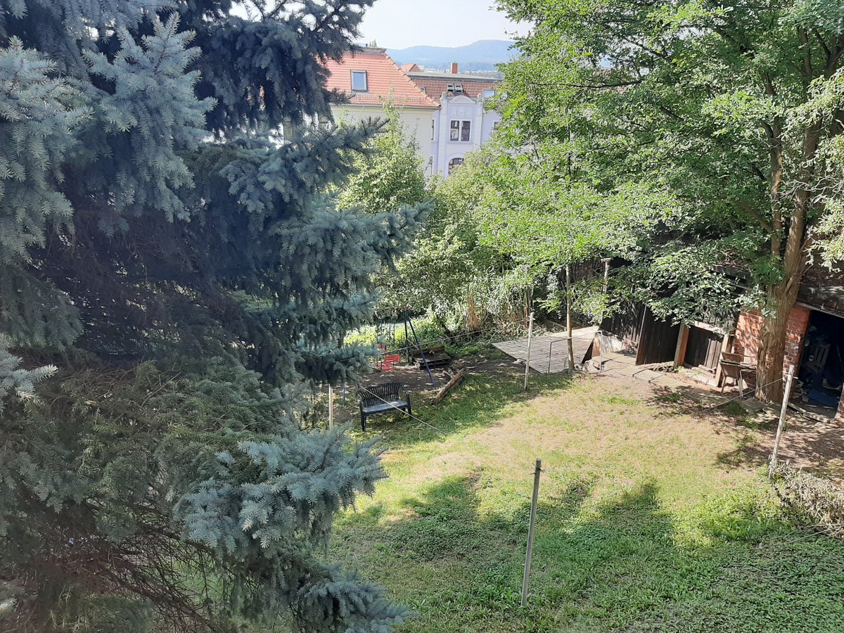 BOHOHV's tweet photo. Sommer, Sonne, Garten: Wir haben wieder viel Fläche für kleines Geld in dieser Gründerzeit-Stadtvilla in Zittau: 
https://t.co/Z5EZOhhUcR https://t.co/De55OqH1S5