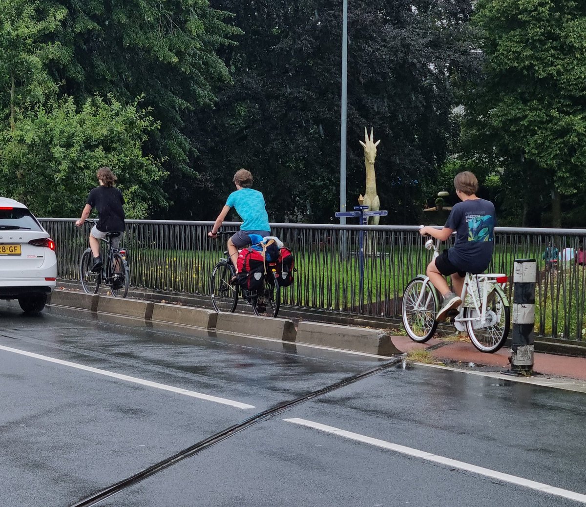 Spotted some light protection on a bike lane in the Netherlands, albeit it was of the heavy hedgehog and non flexi post variety.  I will push them for a crow chapter now.