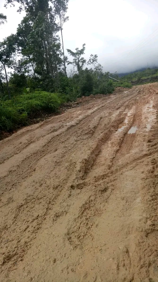 NDelumar's tweet photo. Selamat Ulang Tahun RI ke 79 
Namun diusia kemerdekaan yg ke 79 masih ada yg blm merdeka
Lokasi jln Kec Suti Semarang Kab Bengkayang Kalbar
@jokowi @KemenPU @basuki_btp @Dr_Moeldoko https://t.co/VOdaFjkCoZ