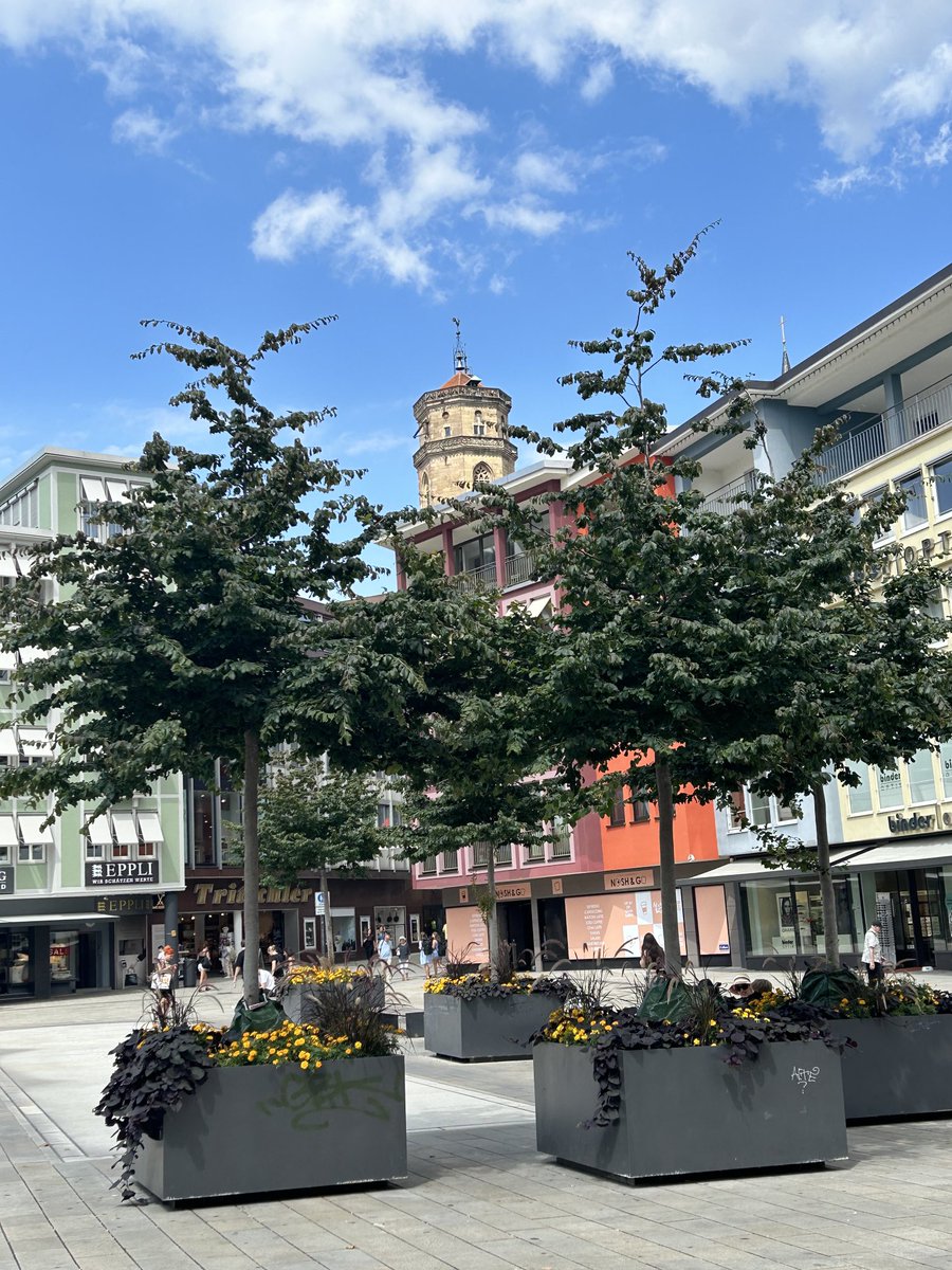 ReinhardHoene's tweet photo. #Stuttgart #Urwald mit #Kirchturm https://t.co/8wkUvgmfOZ