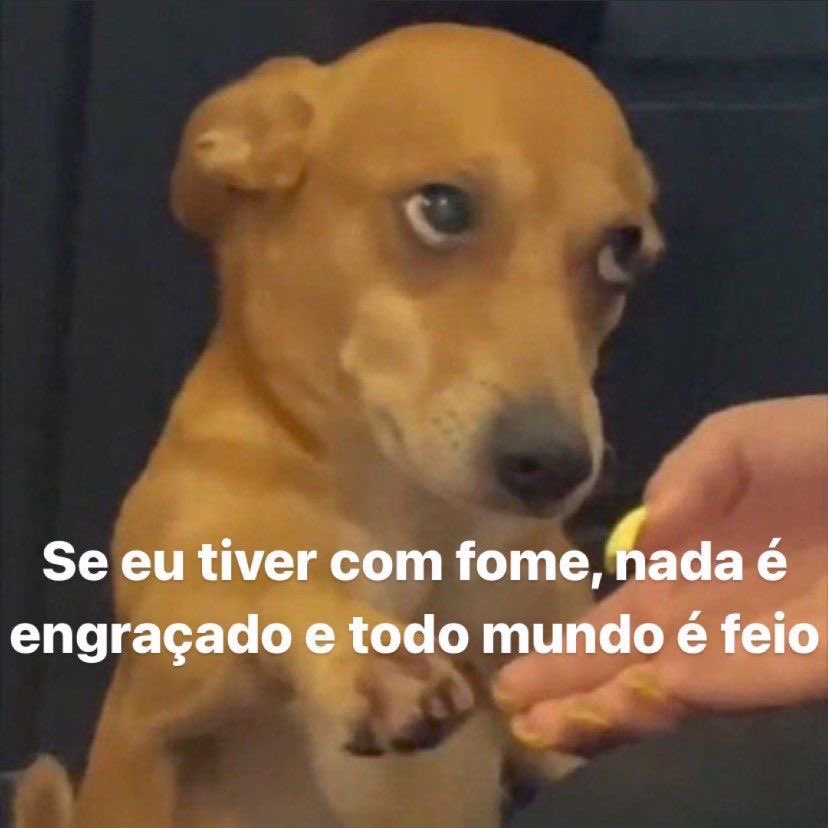lacerda's tweet photo. bom dia https://t.co/EtmoJA2ZKf