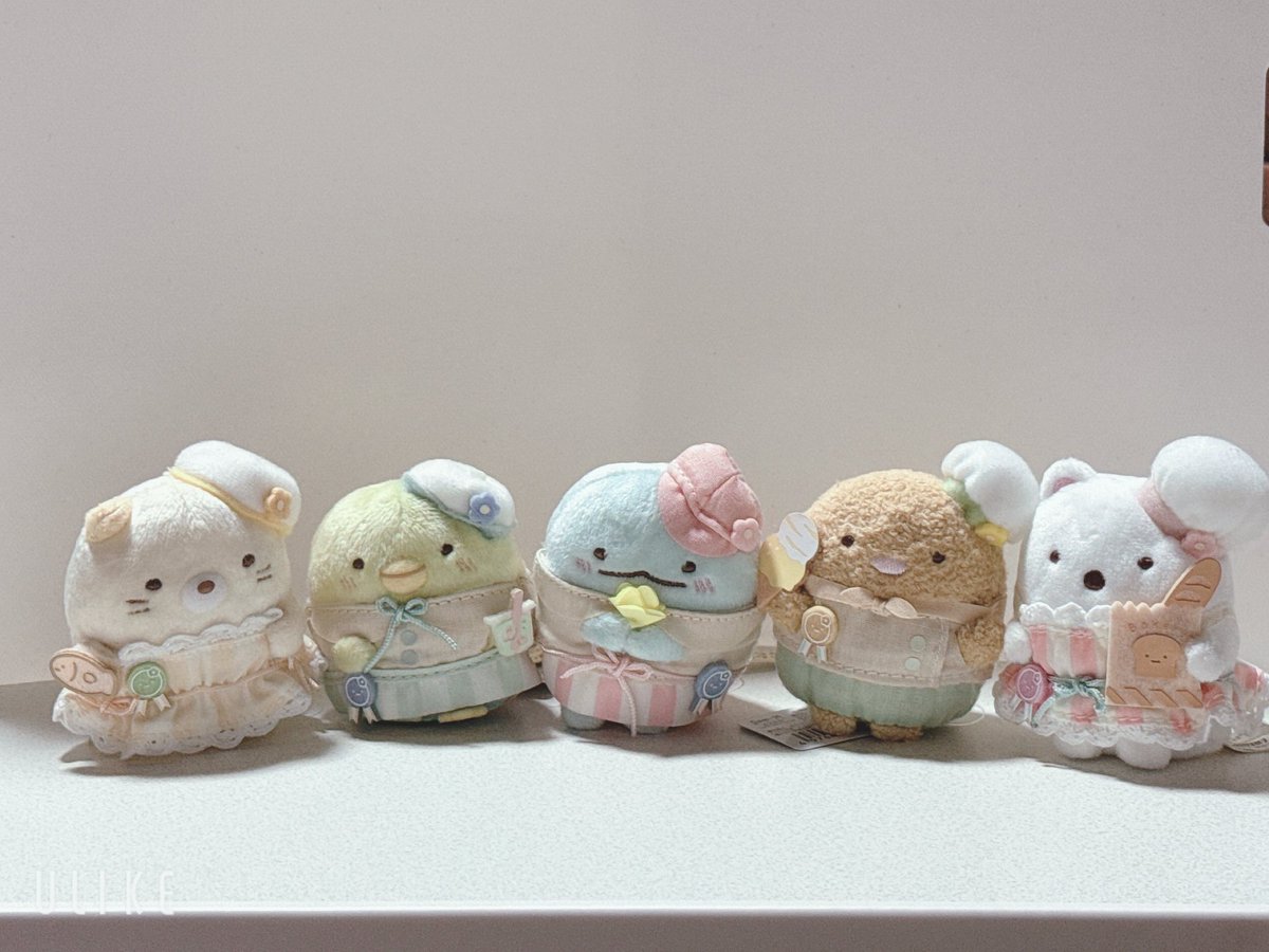 a_chan_chacha's tweet photo. 行ってきたよ◟꒰◍ ´꒳` ◍꒱◞
かわいい世界だったぁ♡
たくさんおむかえしました´｡･･｡)ﾉ♡｡.
幸せ世界(•ө•)♡ https://t.co/hN2tRiyw99