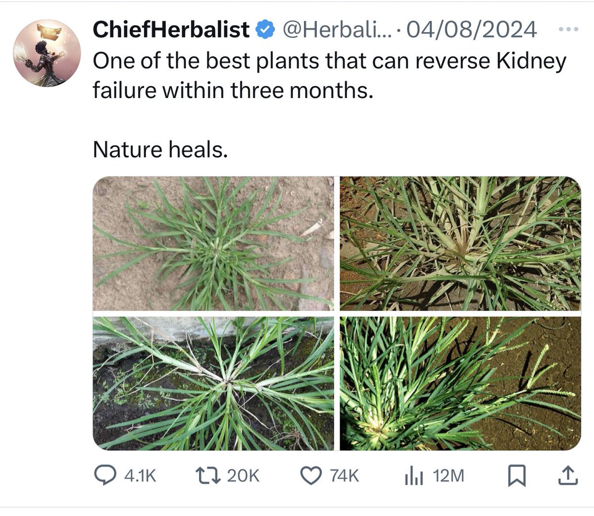 <a href="/AfricanHub_/">African Hub</a> At least, give me due credit for the post.