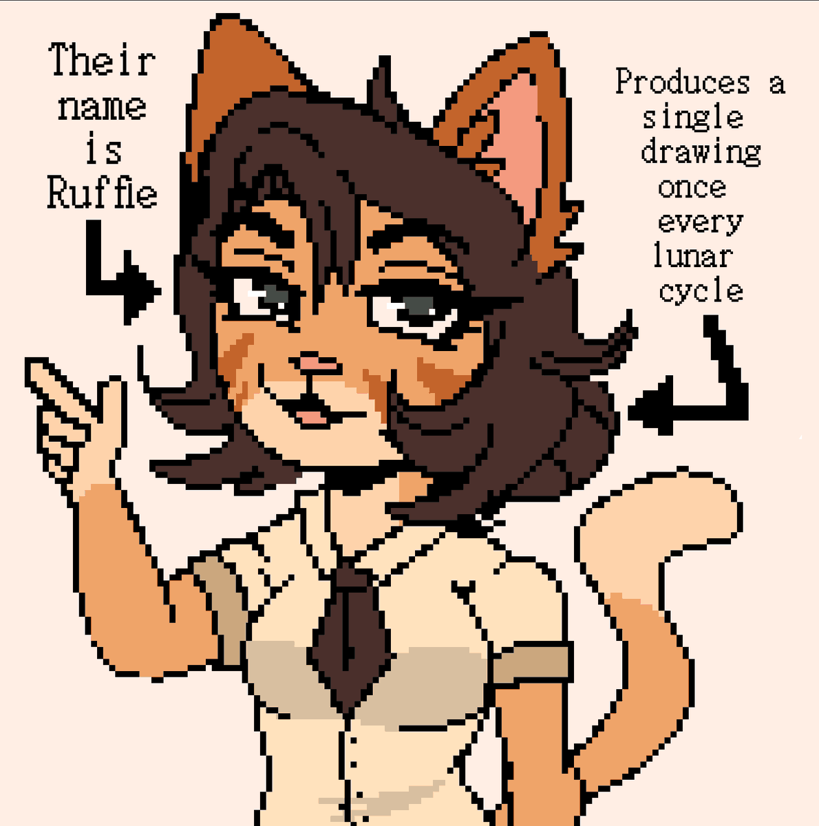 Ruffie 🐱☕ tweet media