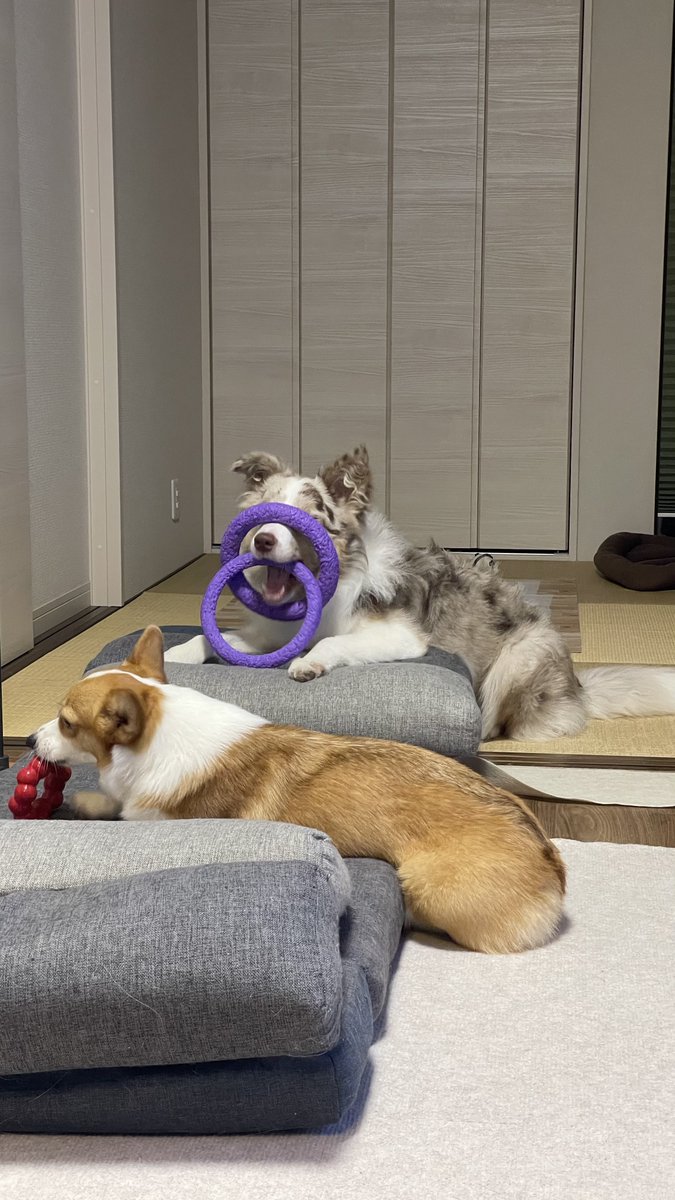 おねちゃん！！おねちゃん！！？こっちみてる！？！？