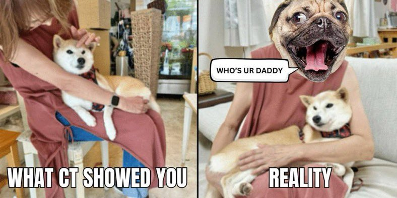 0xxghost's tweet photo. You might just be early to the next big meme  
1 sol, a dream & eyes, yeah?  

got my eyes on $DOUG, the character $DOUG the Pug is a popular IRL Pug with over 20M followers across all socials.   

Why I’m bullish on @DougthePugmeme

-Strong backing  
-Sleek website  
-Chad idea   

Plus this $DOUG be old. 
Dude has outlived Cheems ($SHIB) & Kabosu ($DOGE)   

(Early stage & not launched)  
Web: https://t.co/q2CfaGBMs7 
TG: https://t.co/BRfIfIhupJ