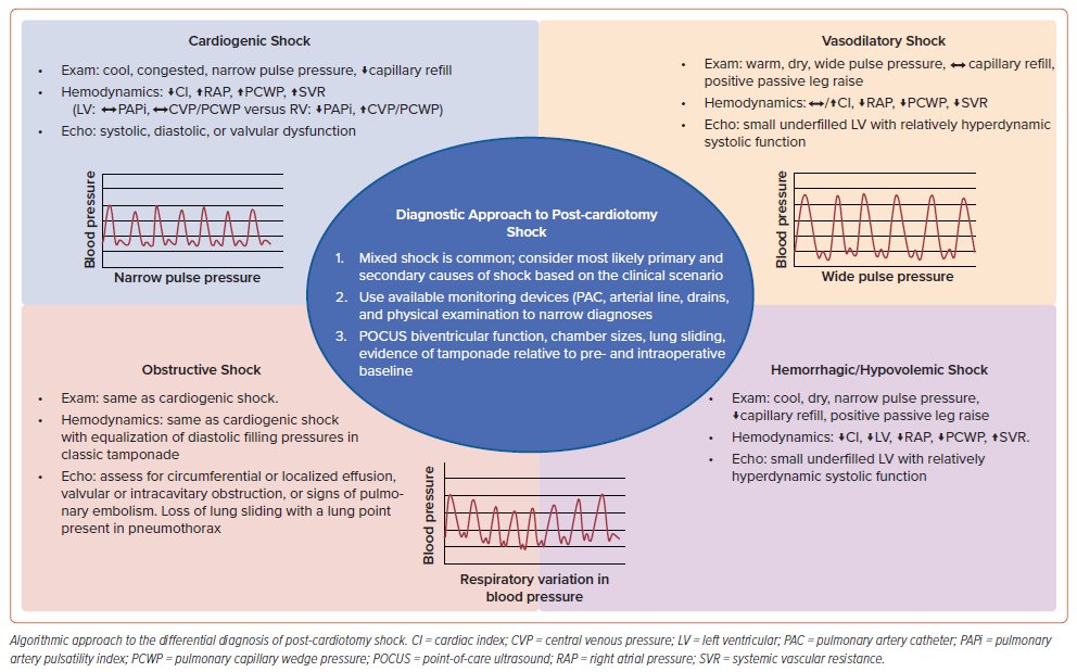 Amit Goyal MD MAS (@amitgoyalmd) on Twitter photo 📜<a href="/CardioNerds/">CardioNerds</a> #USCardiology Article Alert‼️
"Management of Post-cardiotomy Shock by" <a href="/Eric__Hall_/">Eric Hall</a> <a href="/AlexPapolos/">Alex Papolos, MD</a> <a href="/ElliottMillerMD/">Elliott Miller</a> <a href="/ChrisBarnettMD/">Christopher Barnett MD, MPH, FACC</a> <a href="/BKenigsberg/">Ben Kenigsberg, MD</a>
🔗uscjournal.com/articles/manag…
In collab w/ the <a href="/nyulangone/">NYU Langone Health</a> #CritCareCards Symposium - highmarksce.com/nyumc/Planners… 📜<a href="/CardioNerds/">CardioNerds</a> #USCardiology Article Alert‼️
"Management of Post-cardiotomy Shock by" <a href="/Eric__Hall_/">Eric Hall</a> <a href="/AlexPapolos/">Alex Papolos, MD</a> <a href="/ElliottMillerMD/">Elliott Miller</a> <a href="/ChrisBarnettMD/">Christopher Barnett MD, MPH, FACC</a> <a href="/BKenigsberg/">Ben Kenigsberg, MD</a>
🔗uscjournal.com/articles/manag…
In collab w/ the <a href="/nyulangone/">NYU Langone Health</a> #CritCareCards Symposium - highmarksce.com/nyumc/Planners…