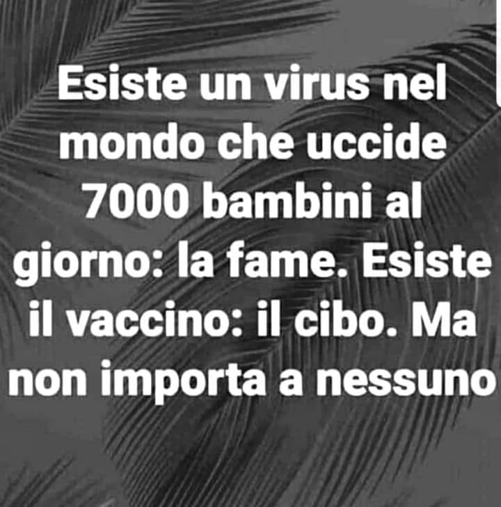 GiorgiaSalvagn1's tweet photo. https://t.co/ZsiEU8aL5J