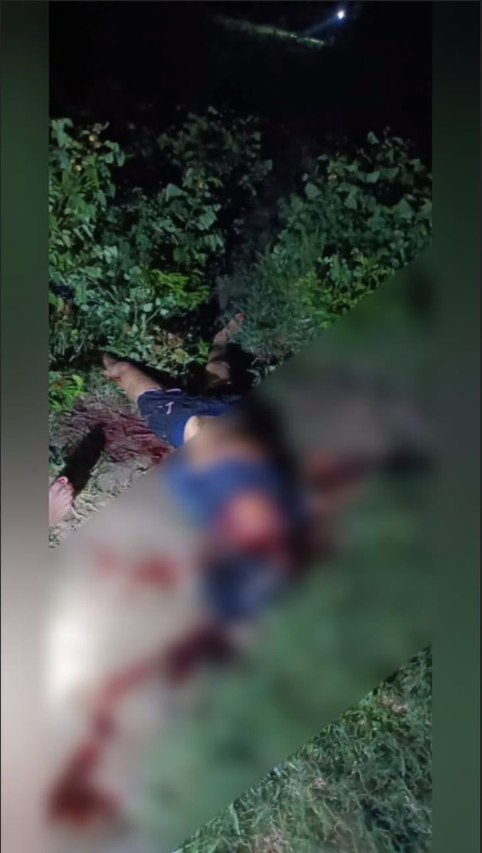 बंगाल से एक और दर्दनाक खबर!

लड़की की मिली सर कटी हुई लाश!

25 साल की लड़की प्रियंका हांसदा की झाड़ी में मिली लाश।

कोलकाता में डॉक्टर की रेप और हत्या के बाद ये दूसरा बड़ा हादसा।

महिलाओं के लिए डरावना राज्य बन चुका है बंगाल, रोज हो रही वीभत्स घटनाएं।

मामला बंगाल के बर्धमान का,