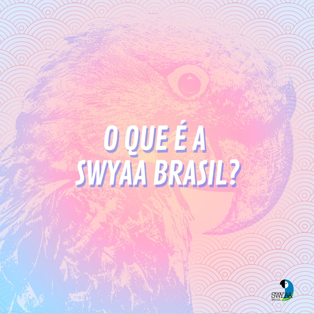 swyaabra's tweet photo. O programa Ship for World Youth é uma experiência transformadora para cada um de seus participantes. Através das diversas atividades, oficiais e extra-oficiais no navio, o participante se desenvolve em conjunto com os outros participantes. https://t.co/W2iywBuUqy