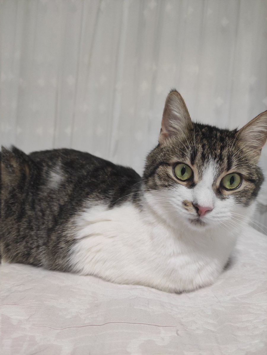 Carpma nasi yapiliyoki