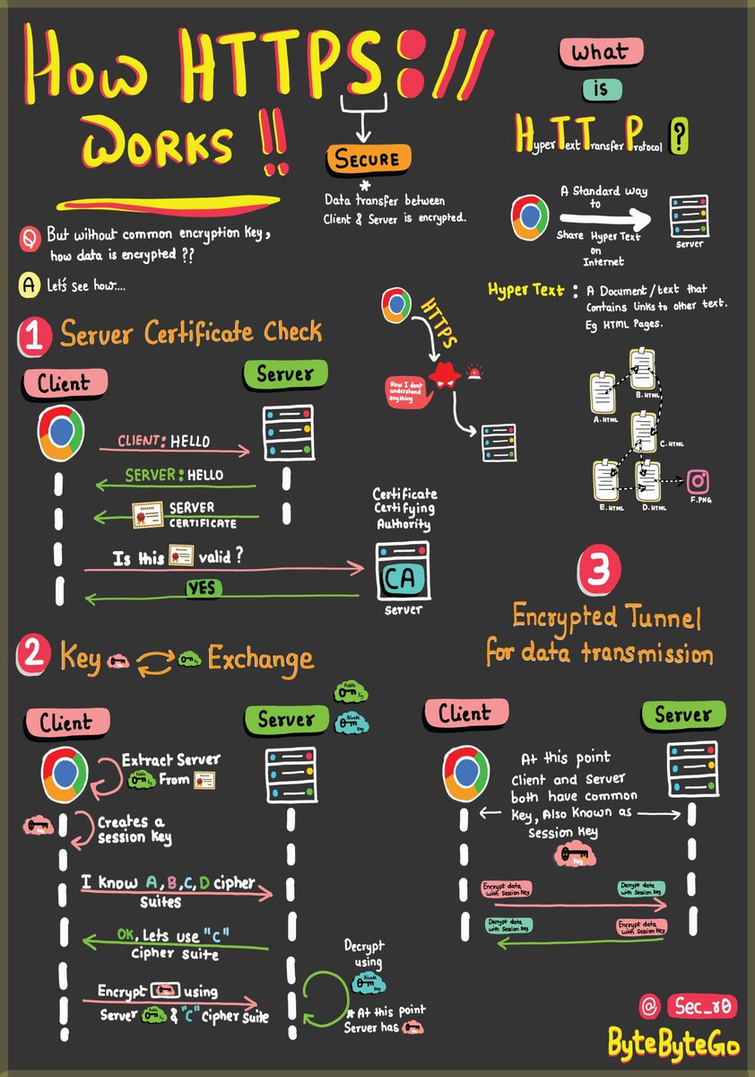 LetsDefendIO's tweet image. HTTPS 101