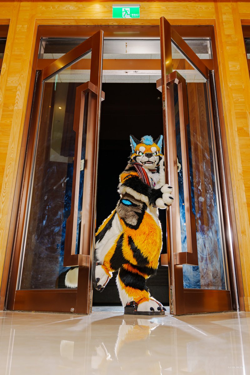 CaramelMaoJ's tweet photo. Open the door 😋

📸:@ELPL_Fur https://t.co/MVlZZxVsZ4