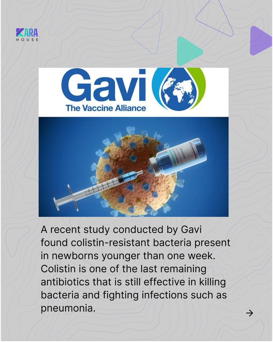 karahousemedia's tweet photo. A recent study by Gavi found that Nigerian babies are born with colistin-resistant bacterial which may lead to future drug-resistant infections.
Gavi says antibacterial resistance may be due to increasing use of colistin in agriculture.
#karahousemedia #colistin https://t.co/TWbCwL9fPv