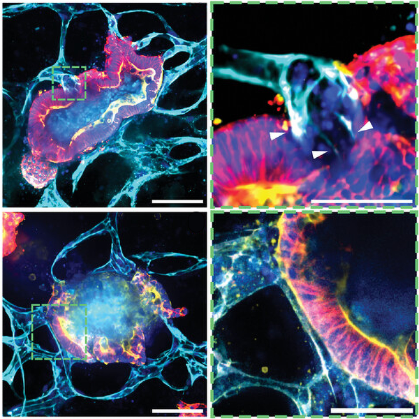 Advanced Portfolio News tweet media