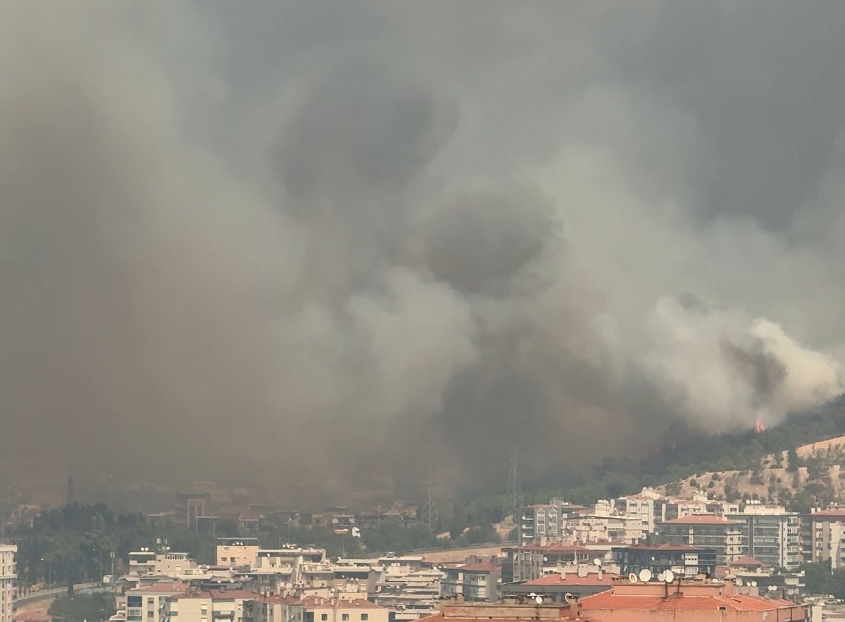 Türkiye'nin en büyük illerinden İzmir'de büyük bir orman yangını çıkıyor ve buna rağmen hiçbir TV kanalı bu olayı haber yapmıyor.
