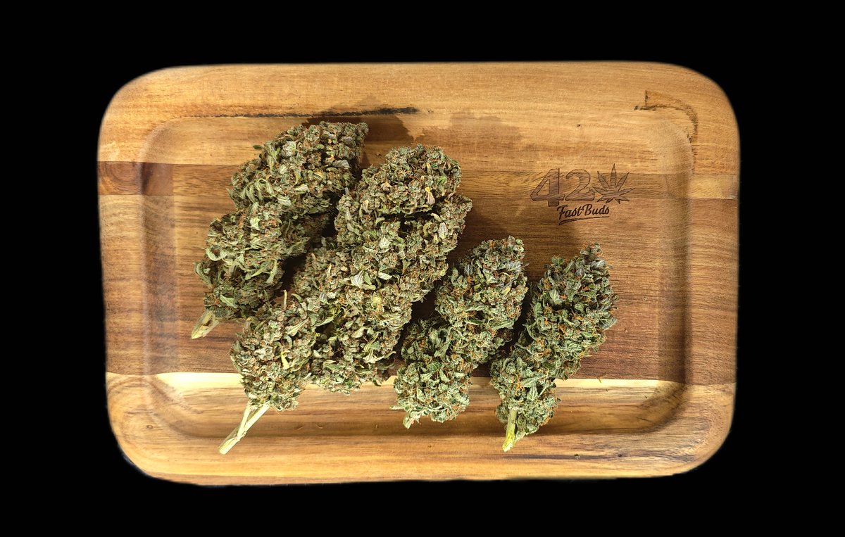 Fast_Buds's tweet photo. 🚨Friday's giveaway!🚨
We are giving away:
+ 10 seeds of the award-winning Fast_Buds
 genetics  that are available on our official website
+ Epic Hoodie
+ Eco-friendly 420 Jar
+ Those special 420 Socks😉
+ Grower Gloves
+ Geotextile Pot
🚨Rules~
• Follow fast_buds
• Tag 3 friends 
• Like + Retweet
We will announce the winner the next week!
Good luck!
For those who don't want to wait, use code TWITTER for 15% discount 
Next giveaway coming very soon! Stay tuned!

📸: Sour Jealousy Auto™ by Haoss (Grow Diaries)