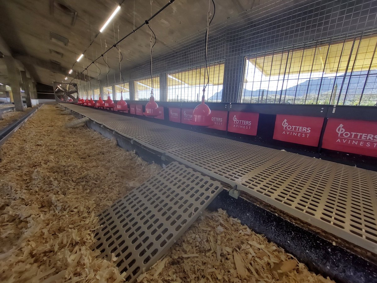 Potters Poultry tweet media