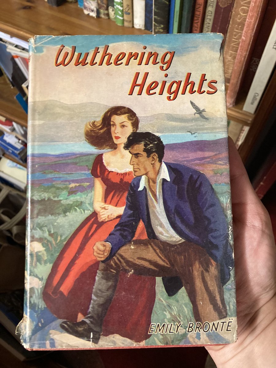 AnnPostScriptum's tweet image. #bronte #wutheringheights #greatcover  
Modern Heatcliff