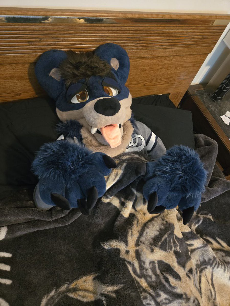 #FursuitFriday 

It’s finally the first Fursuit Friday of forever! (Try saying that 10 times fast) But FD con crud said hello and told me I’m not moving a singular muscle. Sooo yeah. Con Crud is sooooo fun 😵‍💫