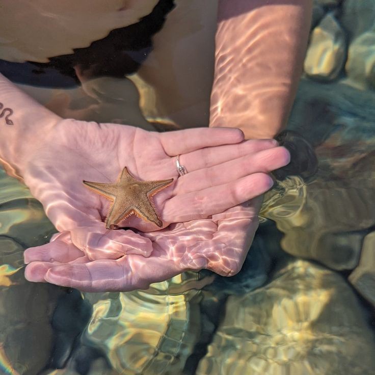 ᅠᅠᅠᅠᅠᅠᅠᅠ★“🐚„★

хороший вечер,хорошее утро,хороший день? не представляю даже,что будет с наступлением осени
ᅠᅠᅠᅠᅠᅠᅠ