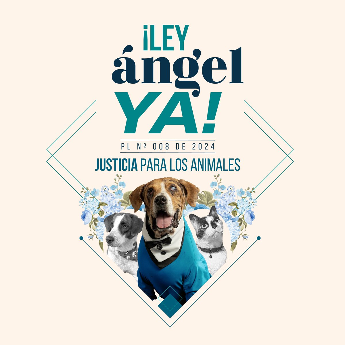 feliperamiirez's tweet photo. @Amparo_Grisales Estimada Amparo, ni el 1% de los casos de maltrato animal llegan a ser denunciados y de las denuncias los casos que logran una condena son pocos (y con penas excarcelables) por eso estamos promoviendo #LeyÁngel para tener Justicia para los animales. https://t.co/lWIguiPGV4