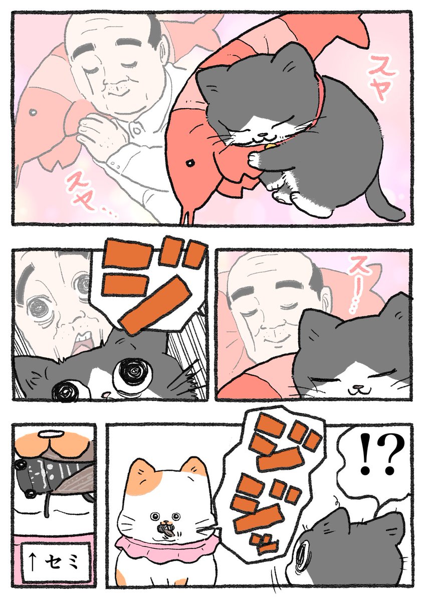 ねこに転生したおじさん。その527