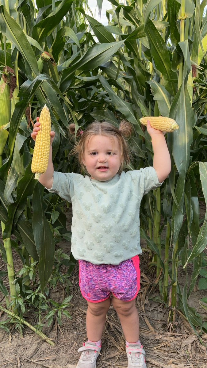 My 2 yr old loves her daddy corn!