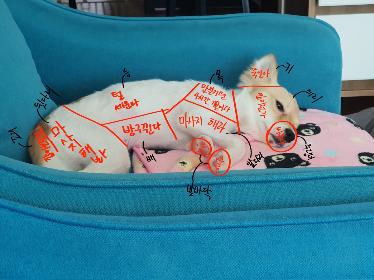 소고기부위나눈거같아서기분안좋아짐