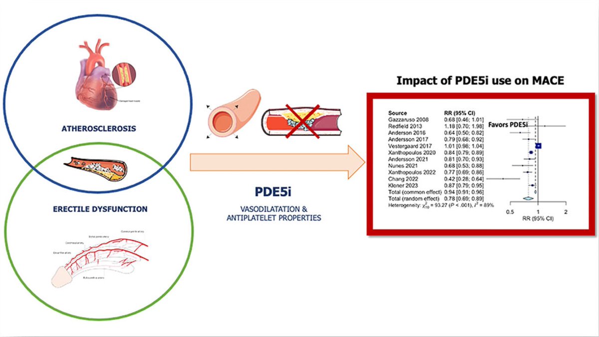 Gonzalo Perez (@gonzaeperez) on Twitter photo USO DE INH. FOSFODIESTERASA 5 Y EVENTOS CARDIOVASCULARES
🔴Metanálisis 16 estudios RCT o caso control>6 meses
🔴El uso de iPDE5 en 👥 ♂️ con o sin enfermedad coronaria, ⬇️ MACE y mortalidad
🔴Beneficios más alla de la disfunción eréctil
Vía <a href="/ESC_Journals/">European Society of Cardiology Journals</a> USO DE INH. FOSFODIESTERASA 5 Y EVENTOS CARDIOVASCULARES
🔴Metanálisis 16 estudios RCT o caso control>6 meses
🔴El uso de iPDE5 en 👥 ♂️ con o sin enfermedad coronaria, ⬇️ MACE y mortalidad
🔴Beneficios más alla de la disfunción eréctil
Vía <a href="/ESC_Journals/">European Society of Cardiology Journals</a>