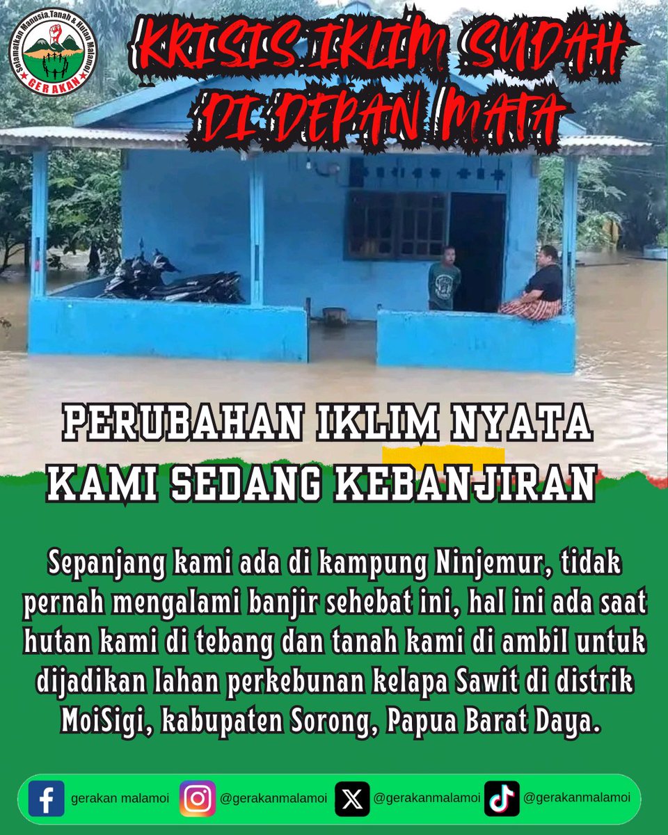 gerakanmalamoi's tweet photo. #papuabukantanahkosong
#sahkanruumasyarakatadat
#gerakmalamoi
#gerakansukuawyu 
#alleyesonpapua
#alleyesonmoitribe
#tolakptpesonakaryaalam
#selamatkanhutanpapua 
#savemoitribe
#saveawyutribe 
#keadilaniklim 
#climatejusticenow https://t.co/Nr8usUBgUr
