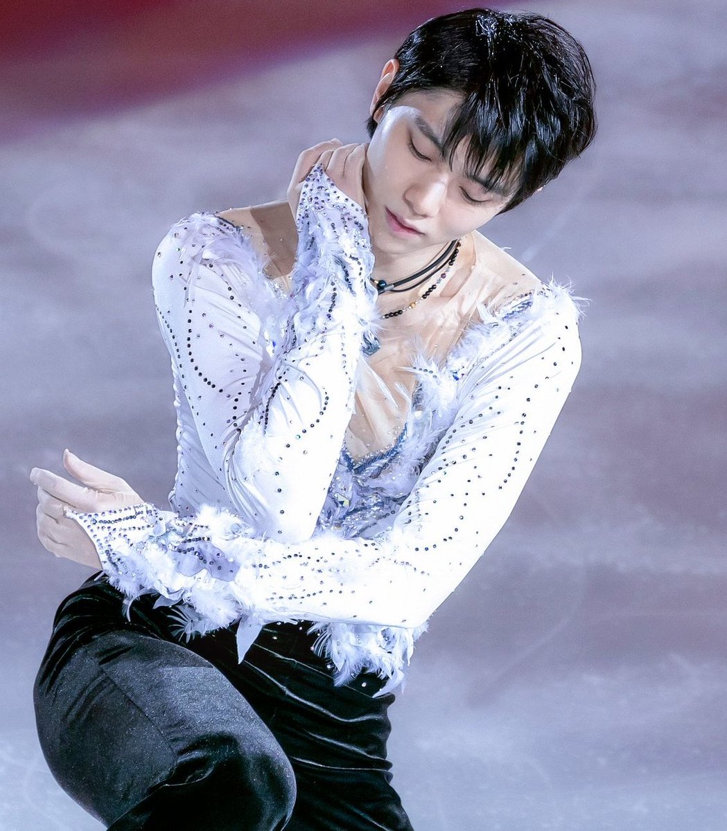 Yuzupoohru's tweet photo. you pretty , he ugly , u swan , he frog ! https://t.co/ijkk1ossYh