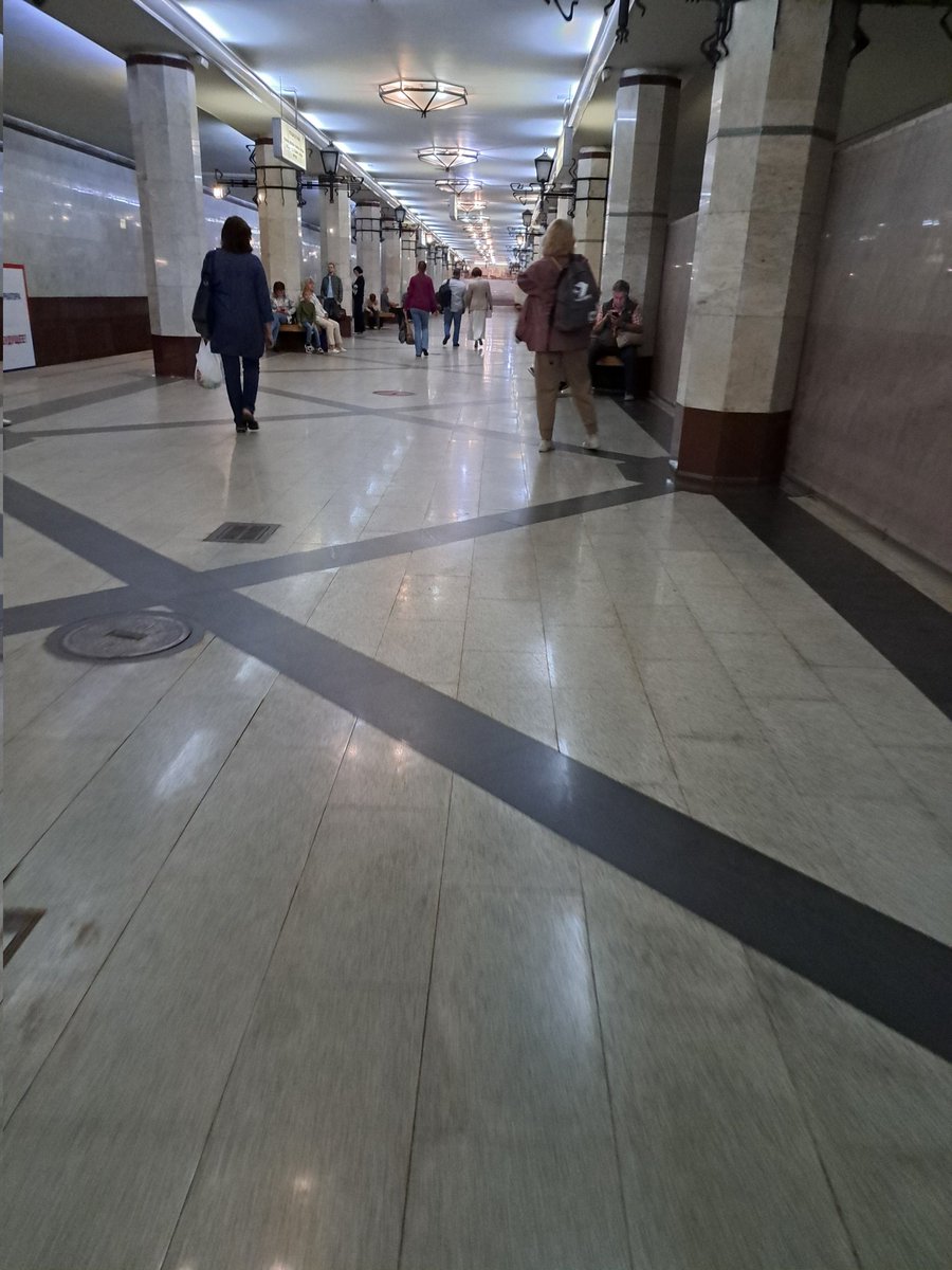 Elena Stepanova tweet media