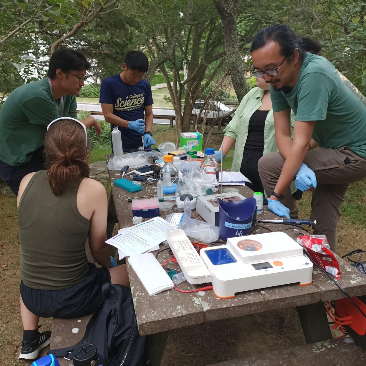 EveMaunders's tweet photo. Swapping out the lab bench for the park bench during #MBLSYM2024 plant week! Freshest DNA I've ever extracted, complete with PCR in the car @MBLScience https://t.co/hEFwx340wf