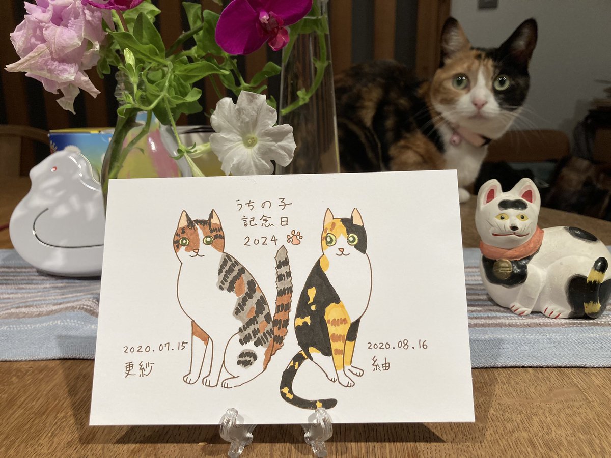 maya_szk's tweet photo. #三毛猫
#縞三毛
#縞三毛猫更紗と三毛猫紬 https://t.co/LgWndJhZlY