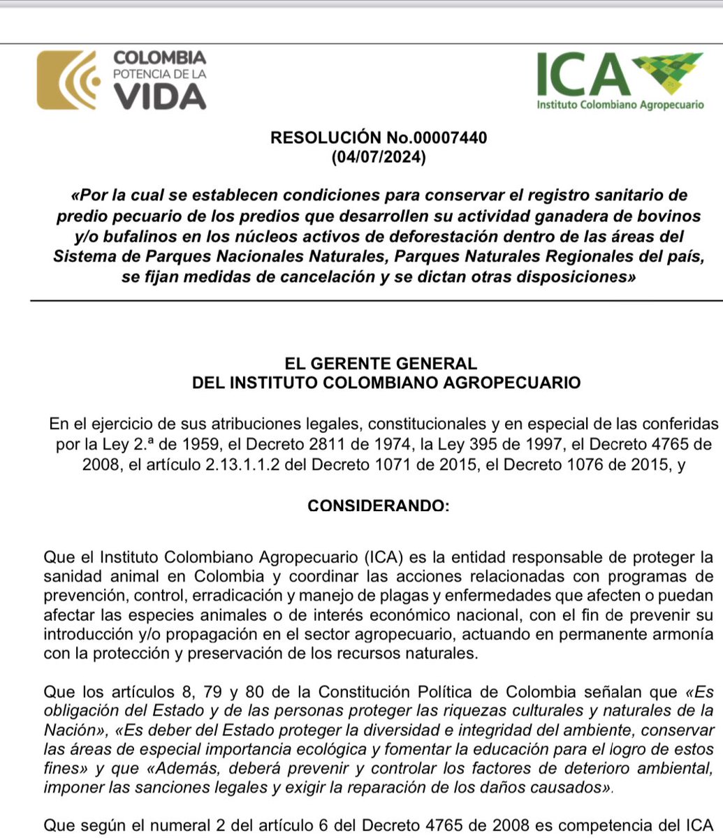 OSWALDO CORTES tweet media