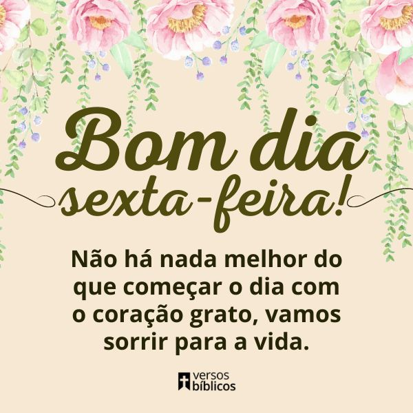 CarvAparecida's tweet photo. https://t.co/1o1CmdbBXF